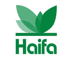 Haifa